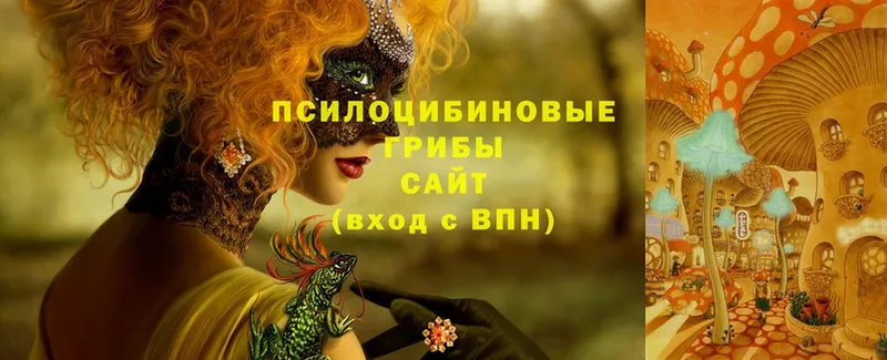 Галлюциногенные грибы MAGIC MUSHROOMS  купить закладку  Ивантеевка 